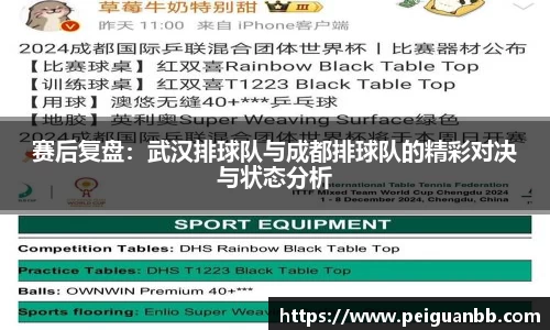赛后复盘：武汉排球队与成都排球队的精彩对决与状态分析