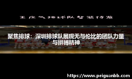 平博pinnacleAPP