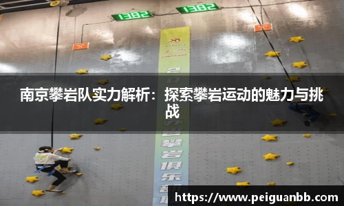 南京攀岩队实力解析：探索攀岩运动的魅力与挑战